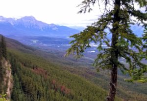 view from mountain top